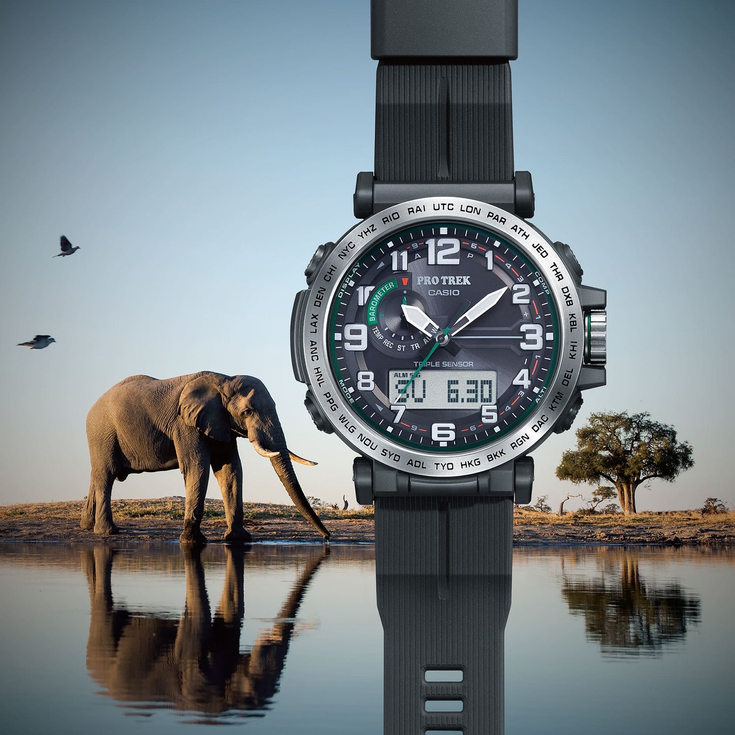 Casio PRG601-1 | PRO TREK PRG-600 Series Black