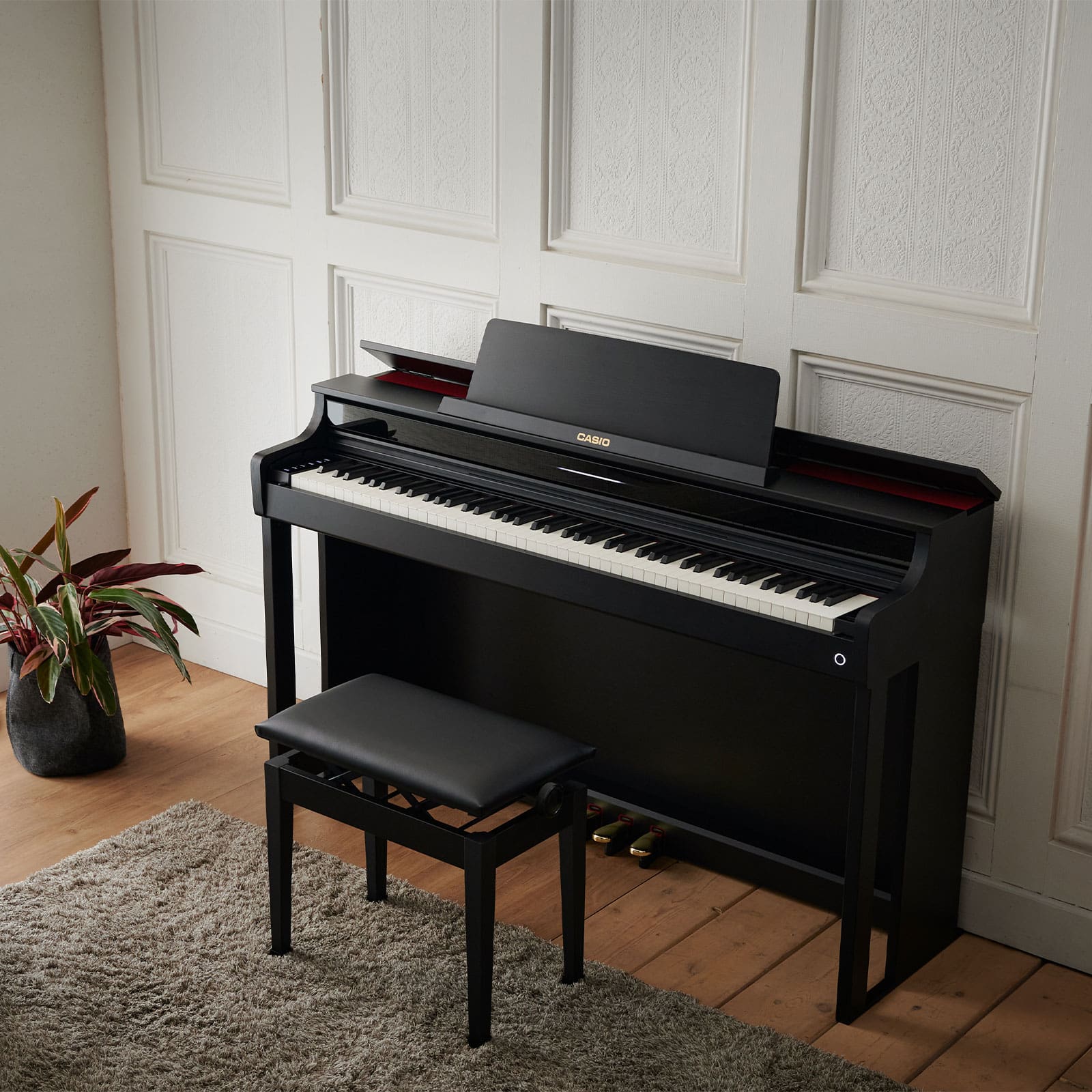 Casio AP-550BK | CELVIANO