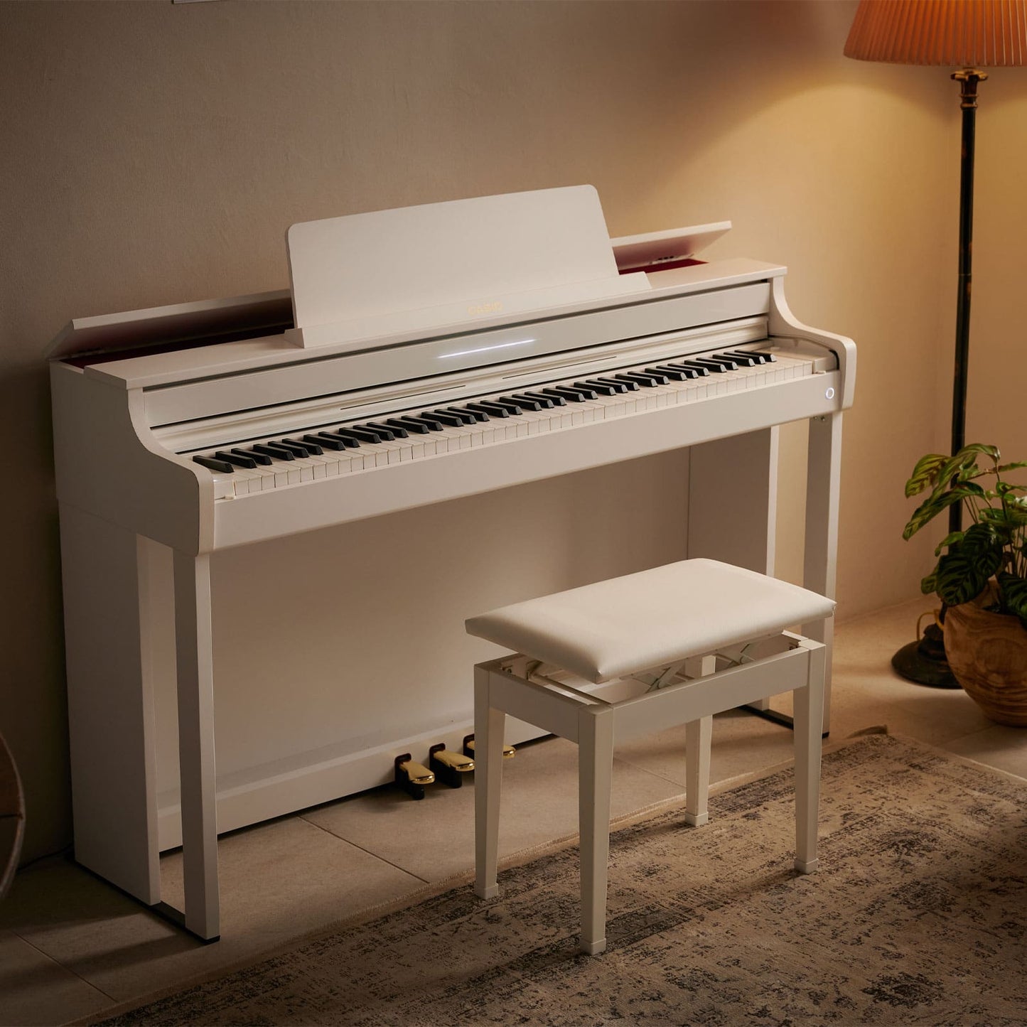 Casio AP-550WE | CELVIANO
