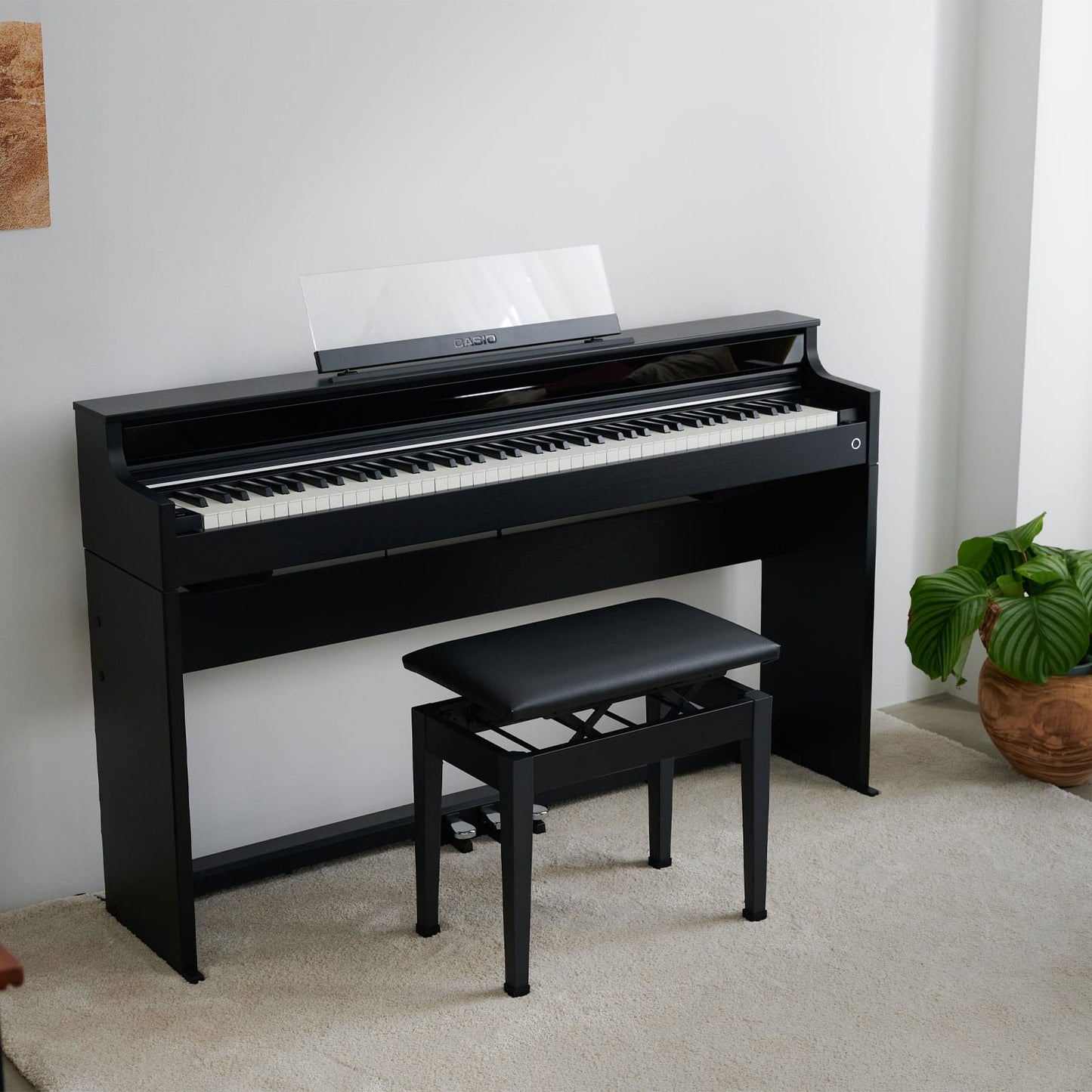 Casio AP-S450BK | CELVIANO