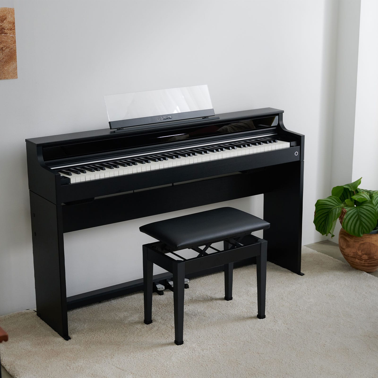 Casio AP-S450BK | CELVIANO