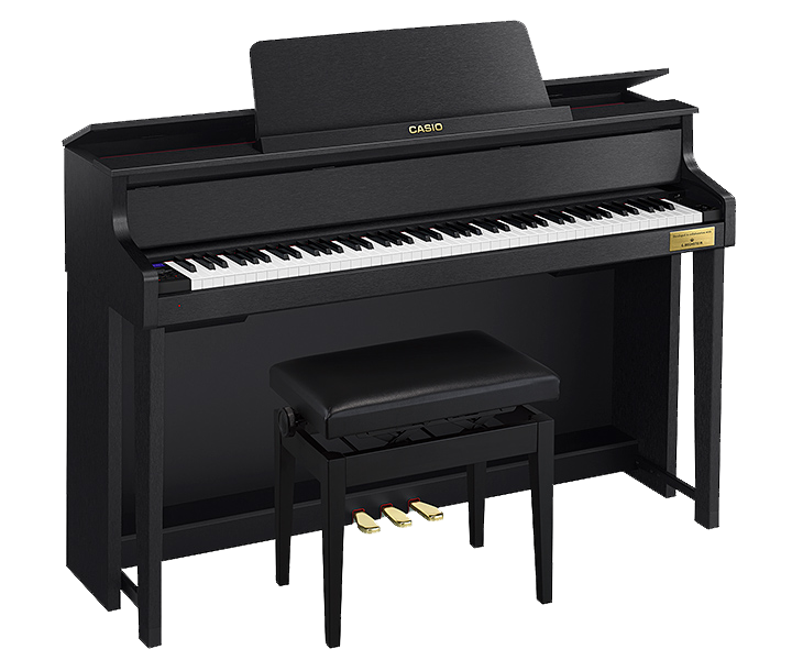 Casio GP-310BK | CELVIANO