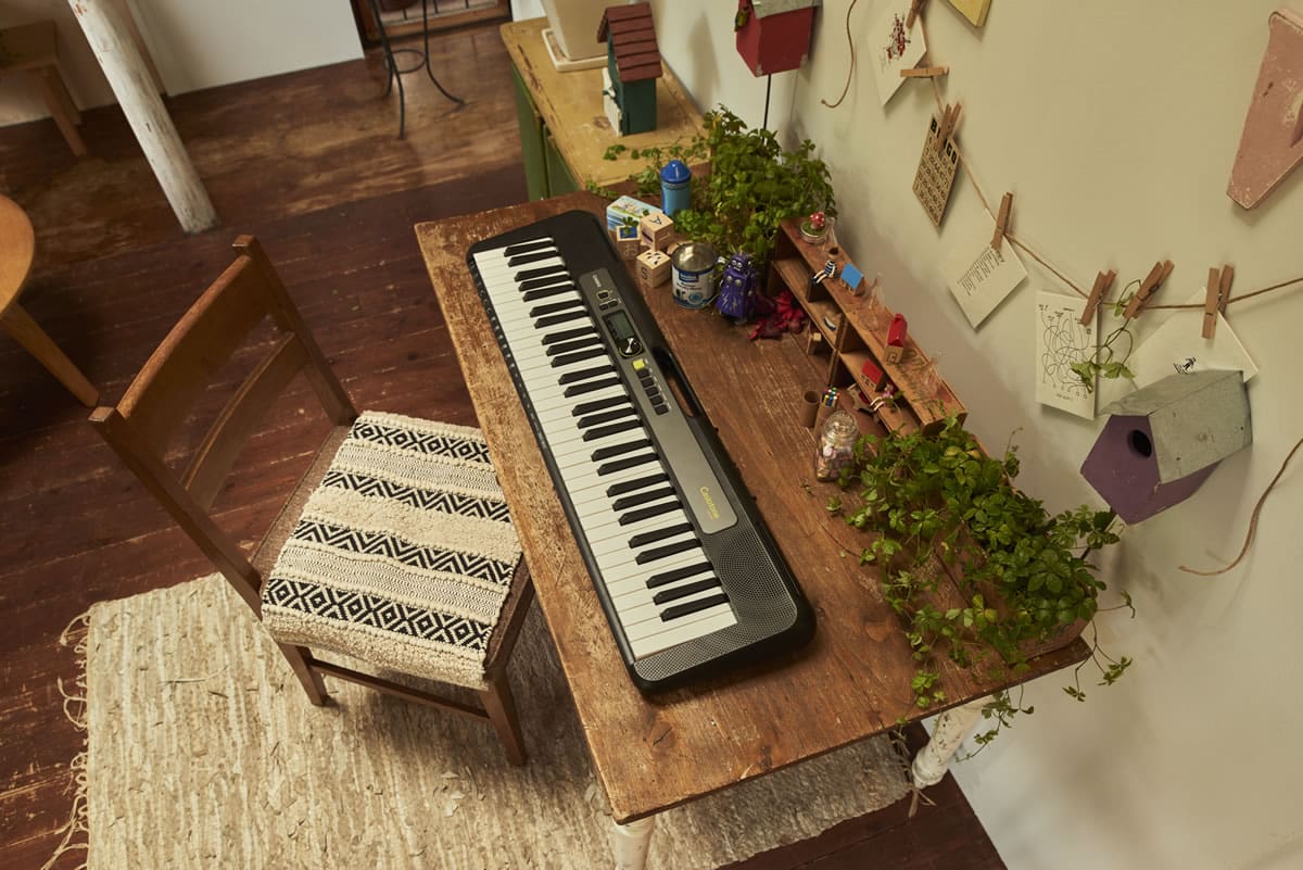 Casio LK-S250 | Casiotone
